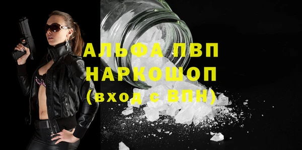 стафф Арсеньев