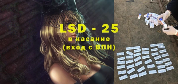 стафф Арсеньев