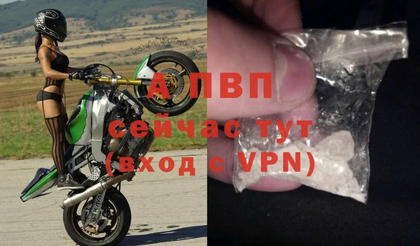 спиды Аркадак
